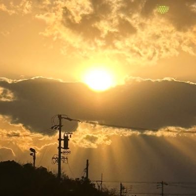bzFZ0lps1P33276's profile picture. そこら辺に出没する変人