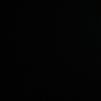 losttett's profile picture. 