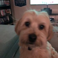 m (@memikkelson) 's Twitter Profile Photo m (@memikkelson) 's Twitter Profile Photo