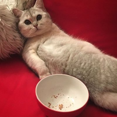 HTJonly's profile picture. 타래계