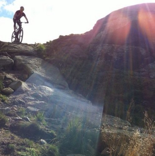 Dannyibis's profile picture. 