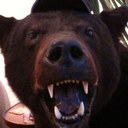 Stephen Lipp - @slipp96 - Twitter