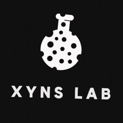 XYNS LAB Profile