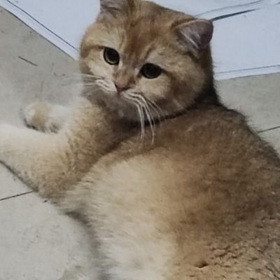 Eileen576690's profile picture. 