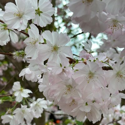 leeyien's profile picture. 