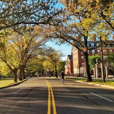 Fighting to preserve the natural beauty and health of the Charles River and to improve access and safety for pedestrians and cyclists on Memorial Drive.