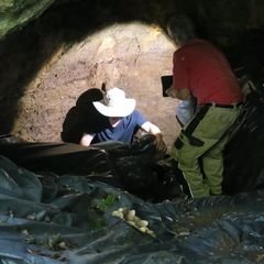 https://t.co/KcqZTDGKkT
Membre associé @umr5608_traces