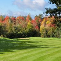 Oaks of Cobden Turf (@theoaksturf) 's Twitter Profile
