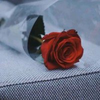💫 (@m6l8amdl3a) 's Twitter Profile