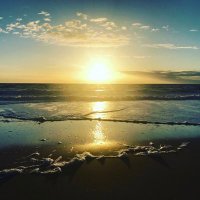 nina (@ninadesell) 's Twitter Profile Photo nina (@ninadesell) 's Twitter Profile Photo