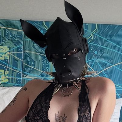 Multisuiter/Pup|Switch|Bisexual|Nonbinary||Aspiring Amateur Porn✨️|Exotic Dancer|
  ⚠️Minors DNI⚠️