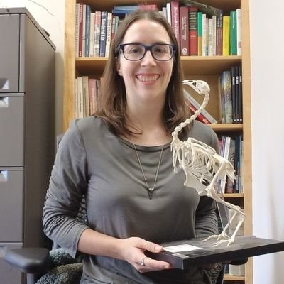 Paleontologist 🦴⛏,  functional morphologist 🦖🦜, @UF @UFVetMed Schachner postdoc. She/hers #WomenInSTEM #oVertTCN #BirdAgenda