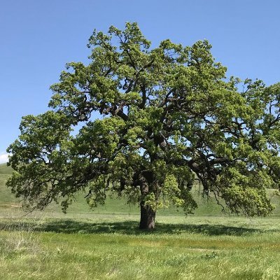 Retired..... Gardening and loving it!     Plant trees for the Children!

#freeleonardpeltier 🇺🇦 🇺🇦 🇺🇦 🇺🇦 🇺🇦 🇺🇦 🇺🇦 🇺🇦 🇺🇦 🇺🇦 🇺🇦 🇺🇦 🇺🇦