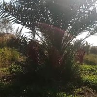 Adfhha218 (@adfhha821) 's Twitter Profile