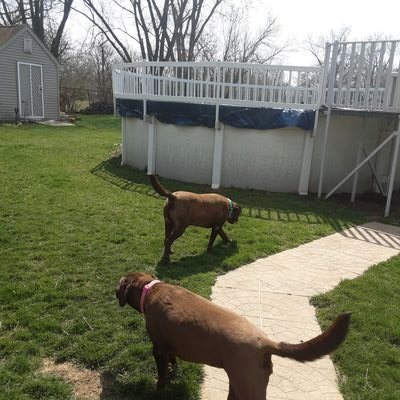 Tedfenn1's profile picture. 