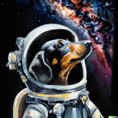 fstermann_'s profile picture. 