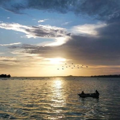 TheInfinityX7's profile picture. 