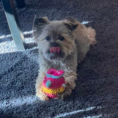 Queenbella1969's profile picture. 