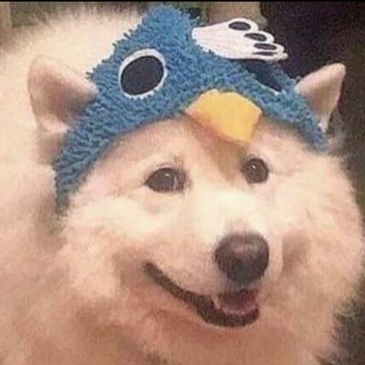 omgitfrawthyy's profile picture. I like Von Lycaon and Hugo Vlad / I don’t exist much, sorry / 18