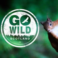 Go Wild Scotland(@GoWild_Scotland) 's Twitter Profile Photo