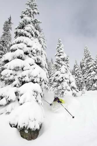 Colorado Ski, snowboard news, and resort snow reports.
