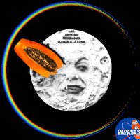 @CryptoPapayas π TO THE MOON π½ (@cryptopapayas) 's Twitter Profile