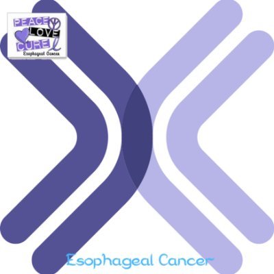 A grass-roots not for profit organization on a mission to reduce the incidence and impact of Esophageal Cancer