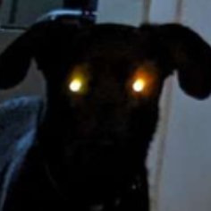 kjhark24's profile picture. I will not die until I achieve something.
Even though the ideal is high, I never give in.
Therefore, I never die with regrets.