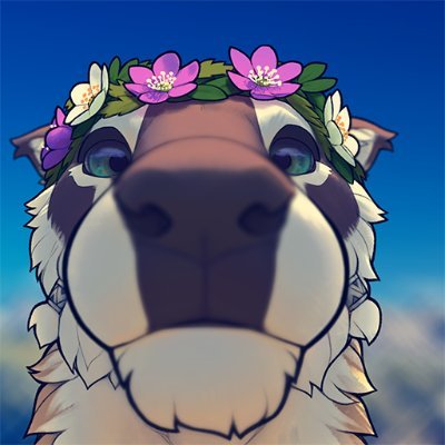 Snowskaus Profile Picture