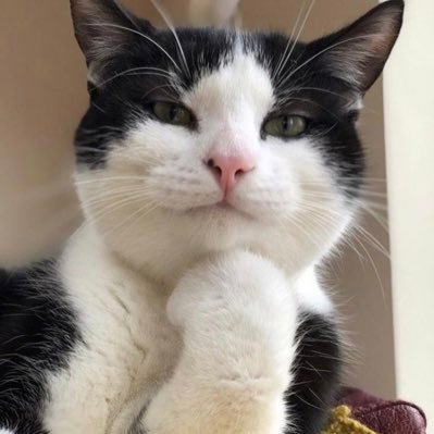 vodachuk's profile picture. 🤓🍀🍵