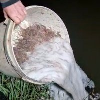 Glevum glass eels (@leerust1966) 's Twitter Profile