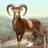 donram85's profile image