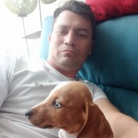 Luis Eterno🐦 (@lhpedraza) 's Twitter Profile Photo