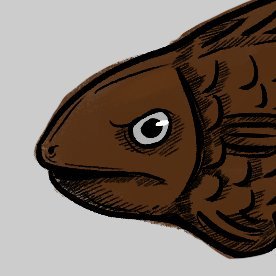 José!さんのプロフィール画像