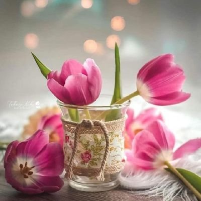 HoneyGe15696017's profile picture. 