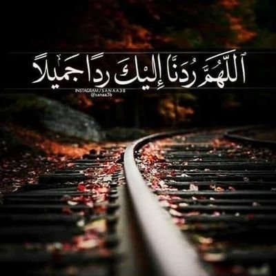 kenan0931's profile picture. 