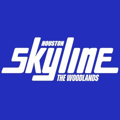Houston Skyline The Woodlands