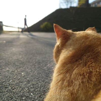 BOujIyybvqMPAJG's profile picture. 成人済 / 競馬好き/牧場作業員 /スプラトゥーン/ モンハン/時々ねこ動画