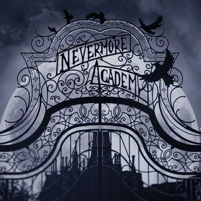 basenvrm's profile picture. info no fix.