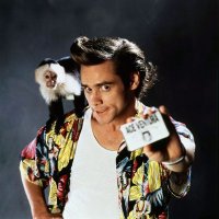 Ace Ventura 📉(@AceVenturaTrade) 's Twitter Profile Photo