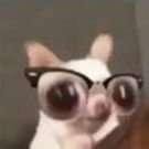 MariaIs24035807's profile picture. 