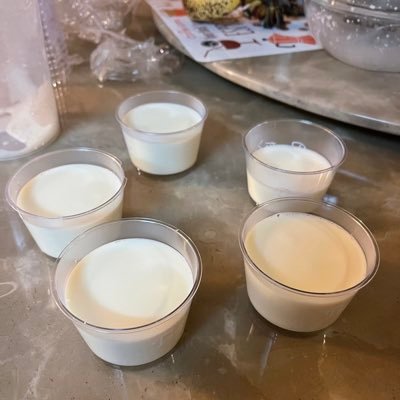 fred840630's profile picture. 12341231123