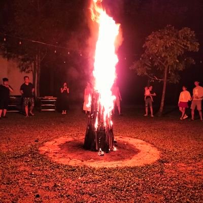 HieuVoTran's profile picture. 