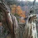 Ben Rowe - @benlosel - Twitter