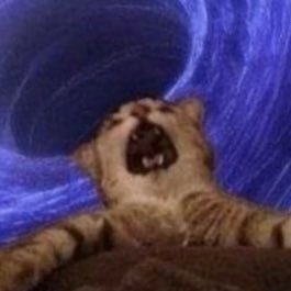 Herb00289423186's profile picture. 