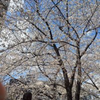 大谷淳一郎 (@jzg151) 's Twitter Profile
