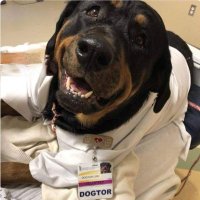 The Sport Dogtor, M.D.(@MartySande34622) 's Twitter Profile Photo