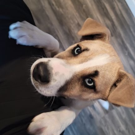 DurzaHarming's profile picture. 