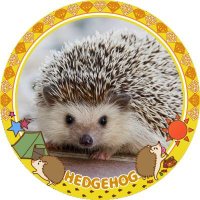 Harinezumi🦔🍥🍥🍥(@HedgehogOk26575) 's Twitter Profile Photo