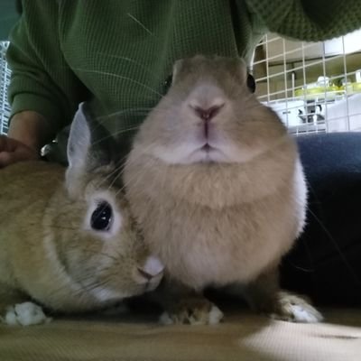 とろみ🍀育児中ゆえ返事超遅い(꒪ꇴ꒪ ; )さんのプロフィール画像